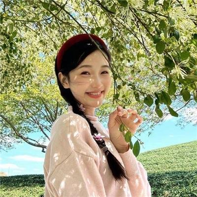 土耳其人的圣母